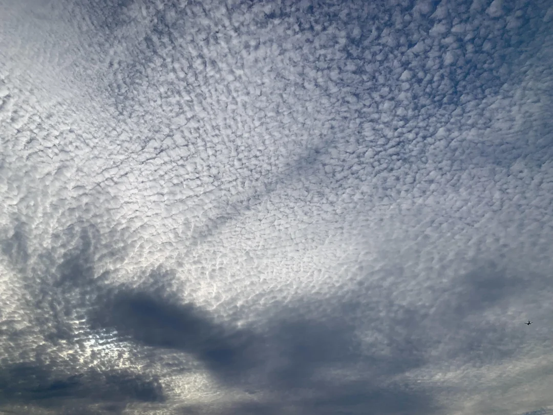 Cirrocumulus patroon