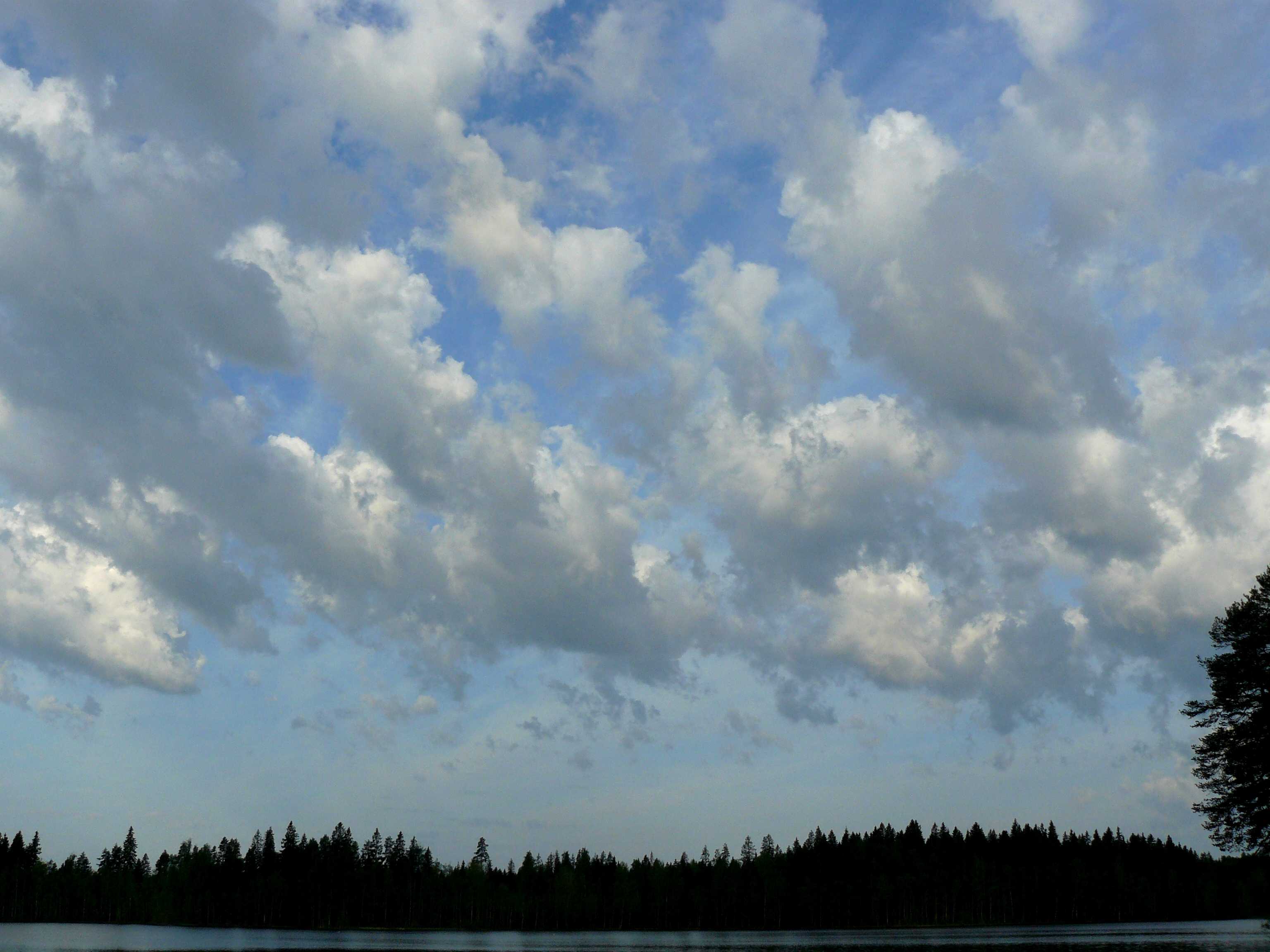 Stratocumulus wolken